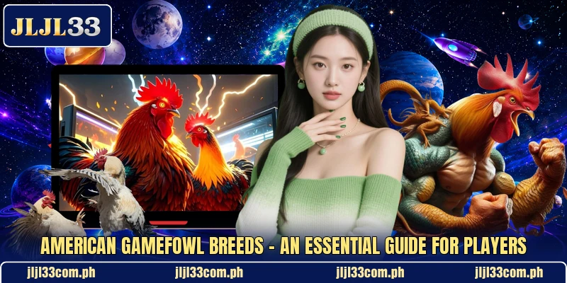American Gamefowl Breeds - An Essential Guide For Players American Gamefowl Breeds - An Essential Guide For Players