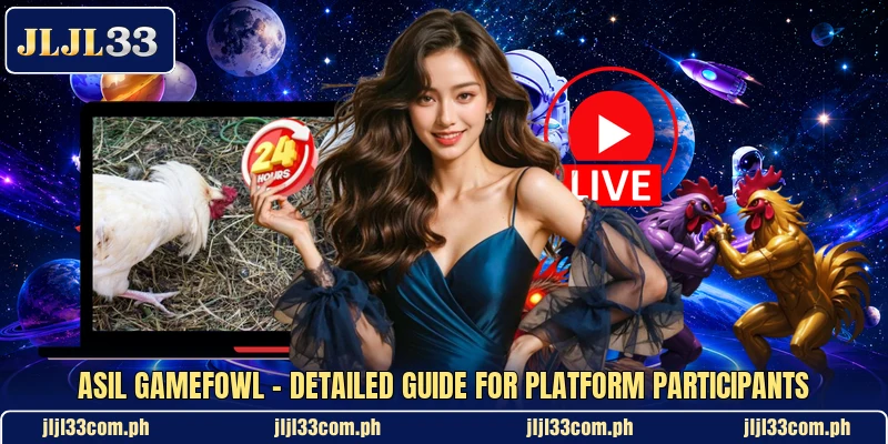 Asil Gamefowl - Detailed Guide For Platform Participants asil-gamefowl-detailed-guide-for-platform-participants