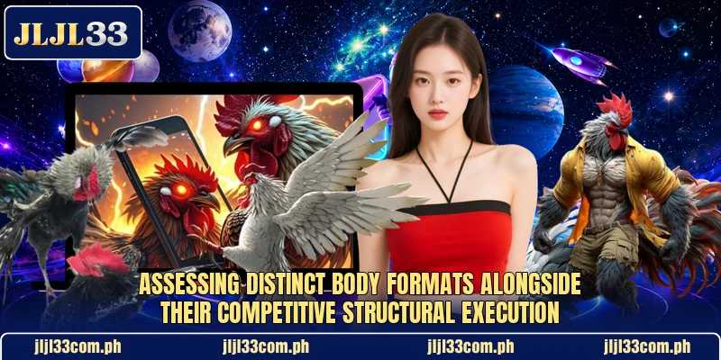 Assessing distinct body formats alongside their competitive structural execution Assessing distinct body formats alongside their competitive structural execution