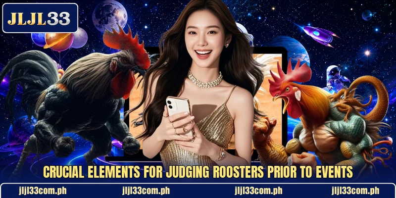 Crucial elements for judging roosters prior to events Crucial elements for judging roosters prior to events