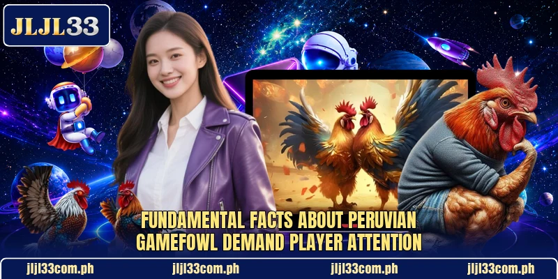 Fundamental facts about Peruvian gamefowl demand player attention Fundamental facts about Peruvian gamefowl demand player attention