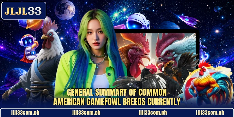General summary of common american gamefowl breeds currently General summary of common american gamefowl breeds currently
