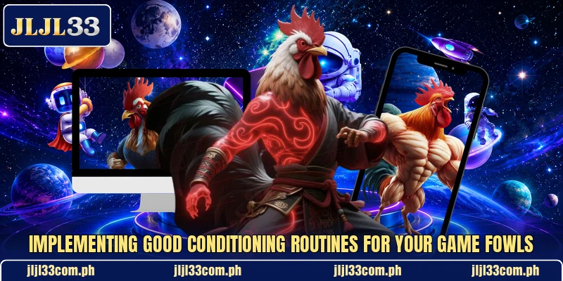 Implementing good conditioning routines for your game fowls Implementing good conditioning routines for your game fowls