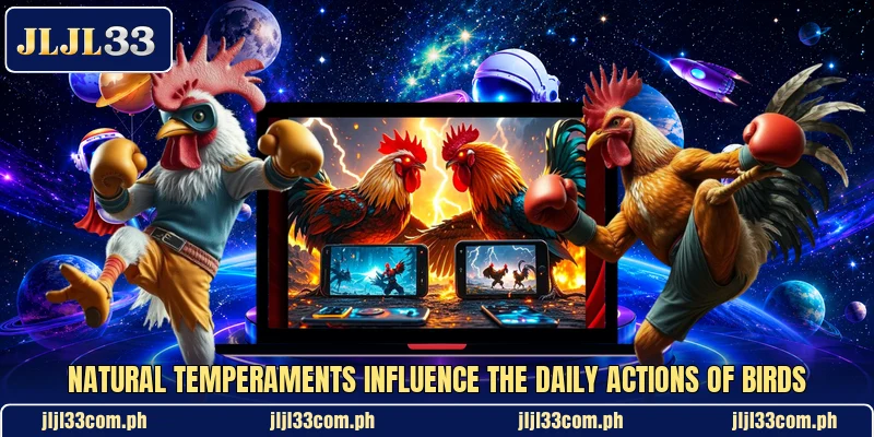 Natural temperaments influence the daily actions of birds Natural temperaments influence the daily actions of birds