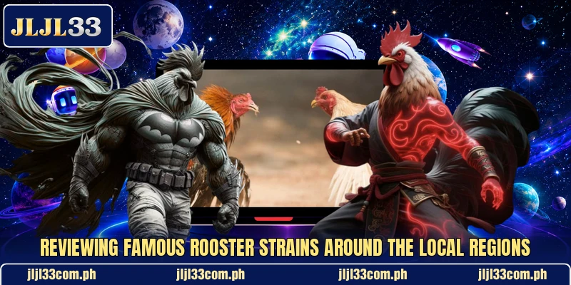 Reviewing famous rooster strains around the local regions Reviewing famous rooster strains around the local regions